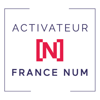 formateur IA entreprise - France Num
